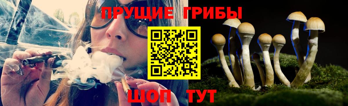 Галлюциногенные грибы прущие грибы  Вход с VPN  сколько стоит  Псилоцибиновые грибы MAGIC MUSHROOMS  Севастополь 